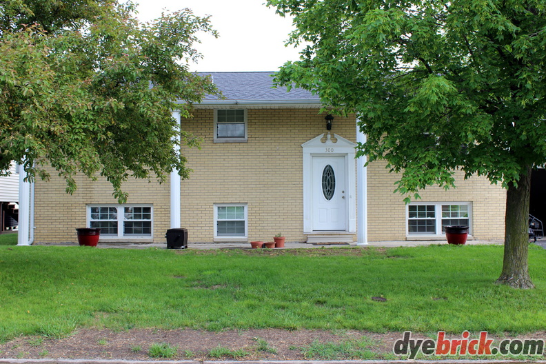 001 Before Dyebrick.JPG